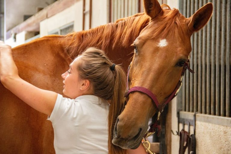 From Signs to Solutions: A Complete Approach to Easing Equine Anxiety